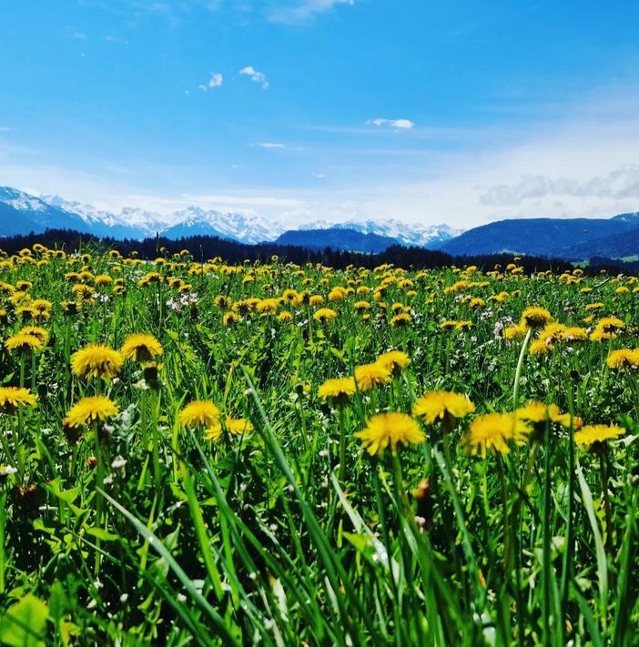 Frühling