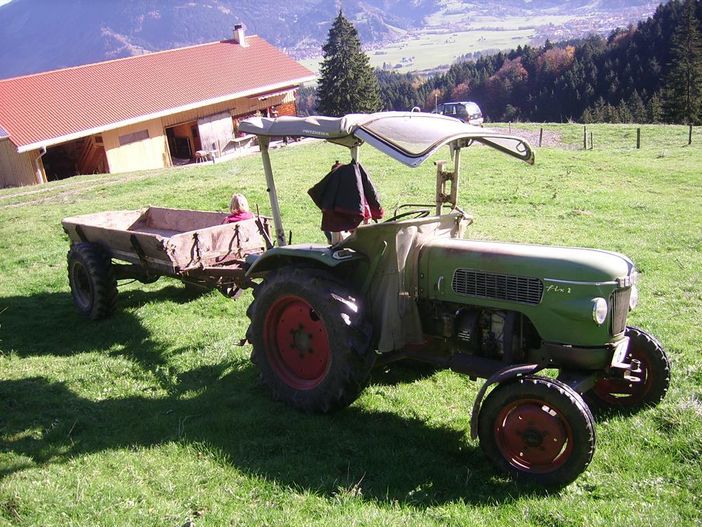 Auf unserer Alpe