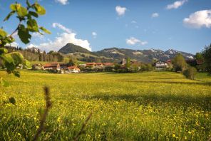 Frühling in Imberg