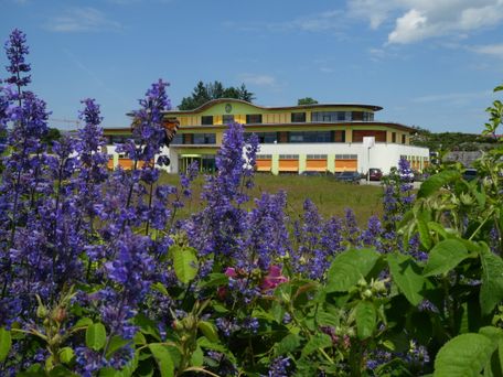 Dr. Michael Schneider, Primavera Life GmbH