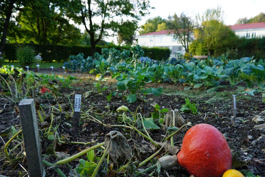 Bauerngarten