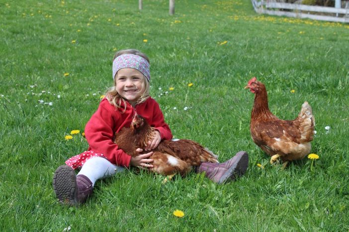 Landwirtschaft hautnah erleben