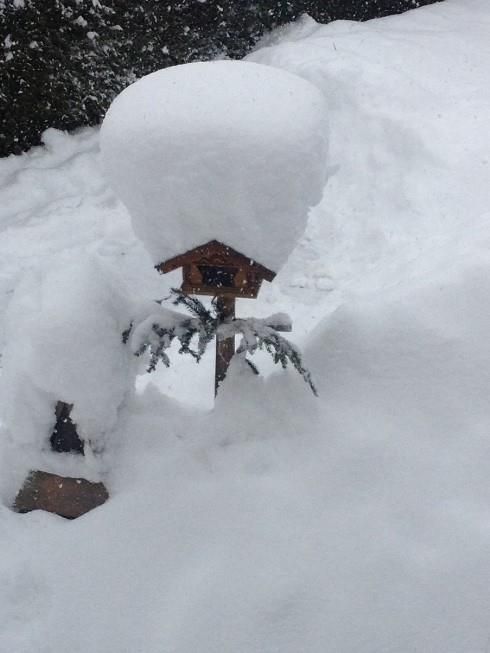 Vogelhäuschen im Winter