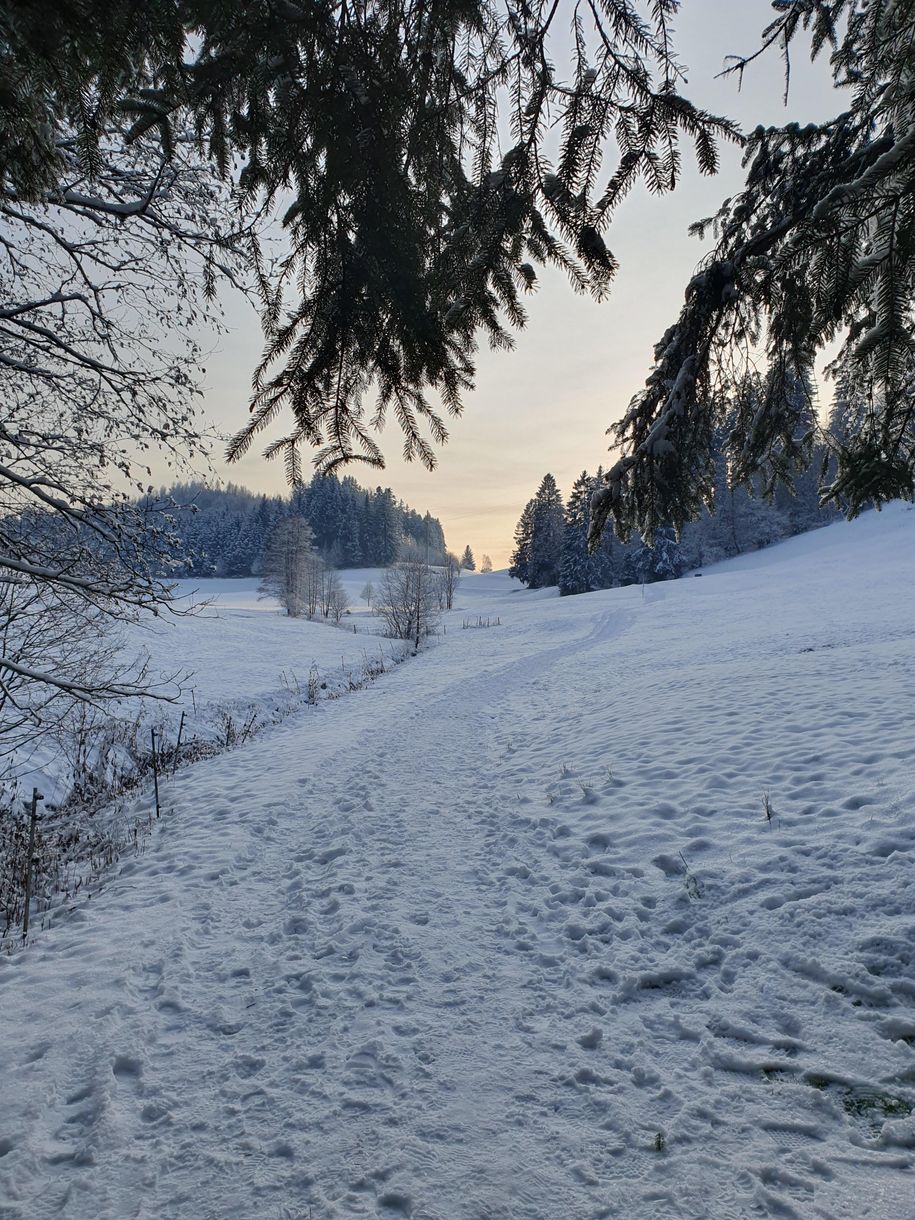 Winterwanderung