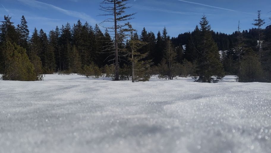 Kleine Winterwanderung im Kojenmoos