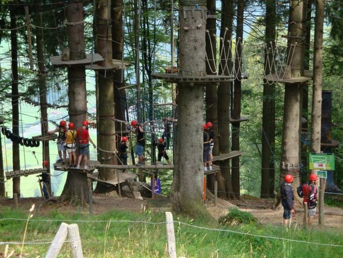 Hochseilgarten oberhalb des Alpsee Coasters