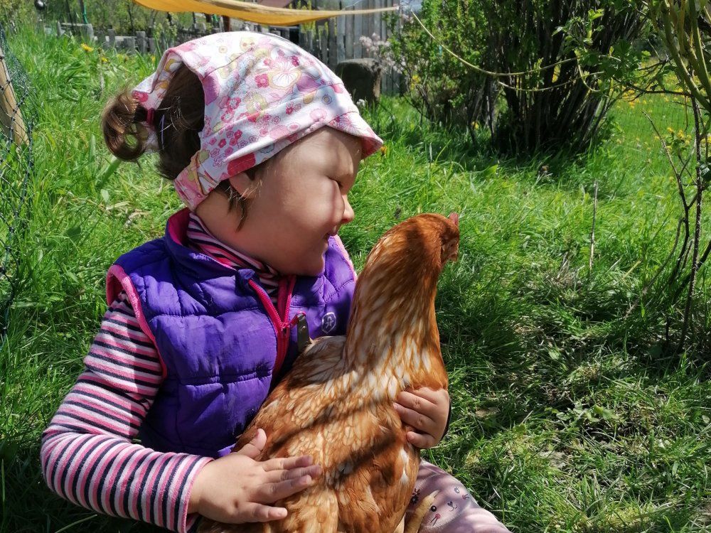 florentinabeidenhhnern