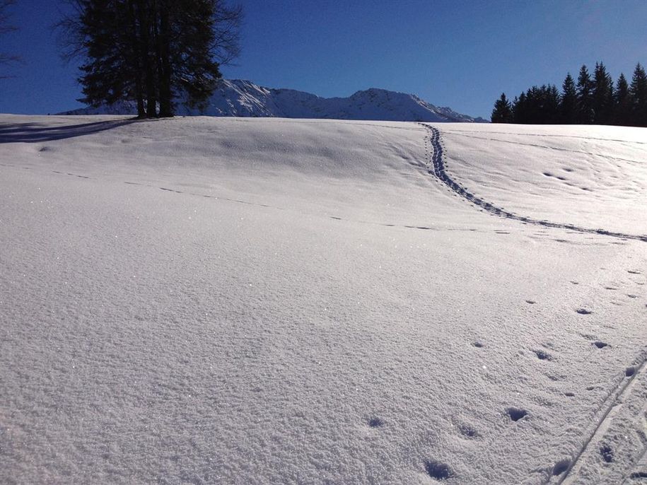 Winter 1