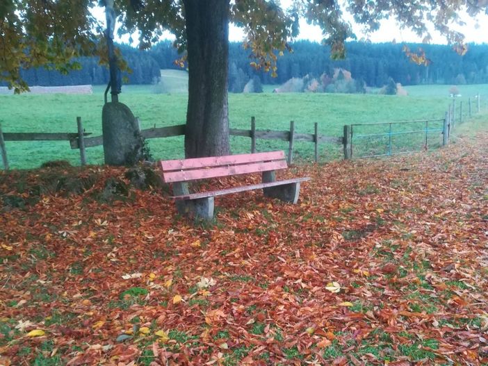 Herbstzeit