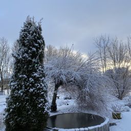 Bild 19