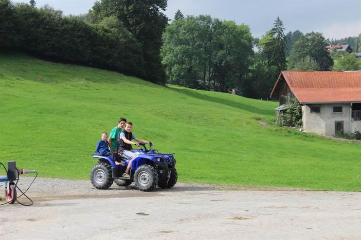 Kleine Hofrundfahrt