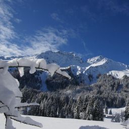 Bild 78