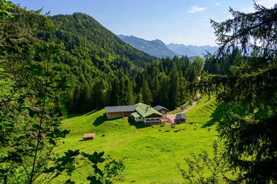 Durch die Starzlachklamm zu den Erzgruben