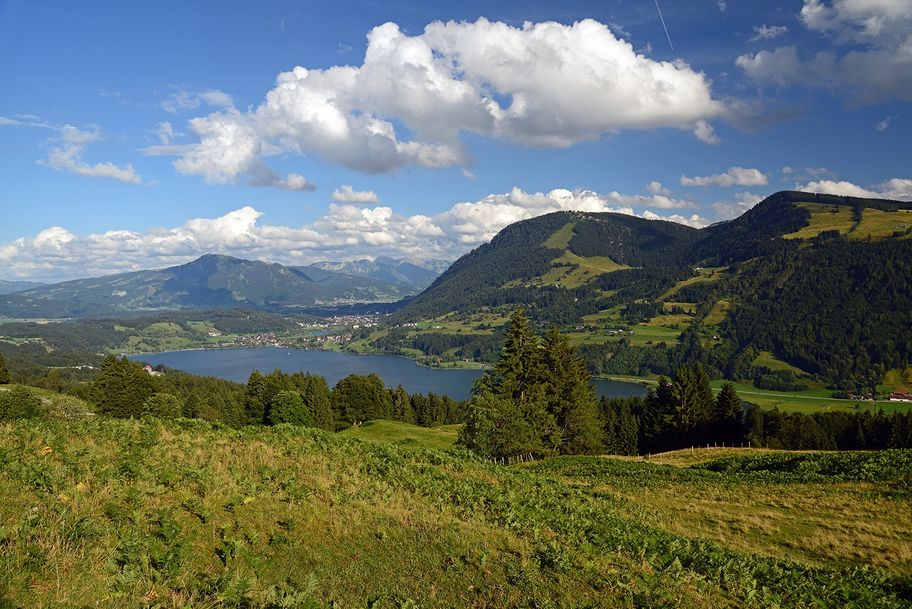 Alpseerunde – Baden und Wandern am größten Natursee des Allgäus