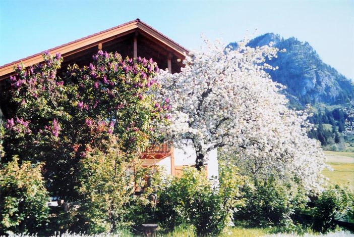 Unser Bauerngarten im Frühjahr