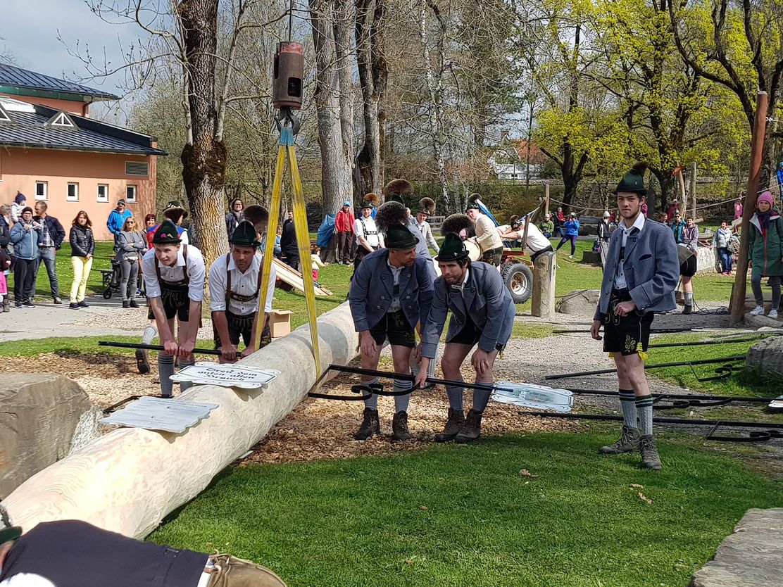 Maibaum-Aufstellen