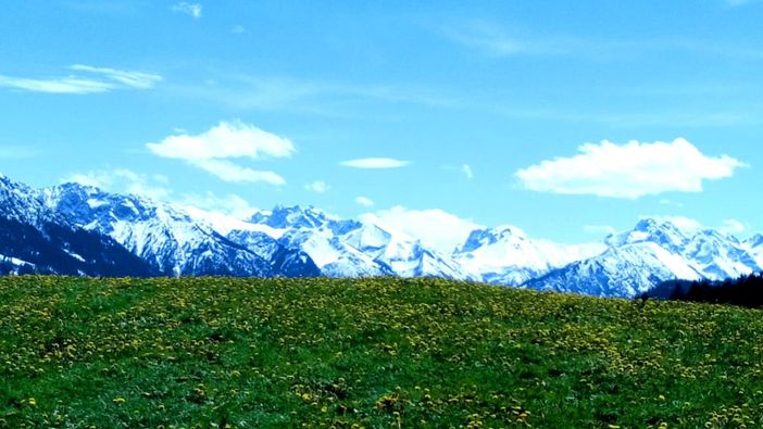 Ausblick im Frühling
