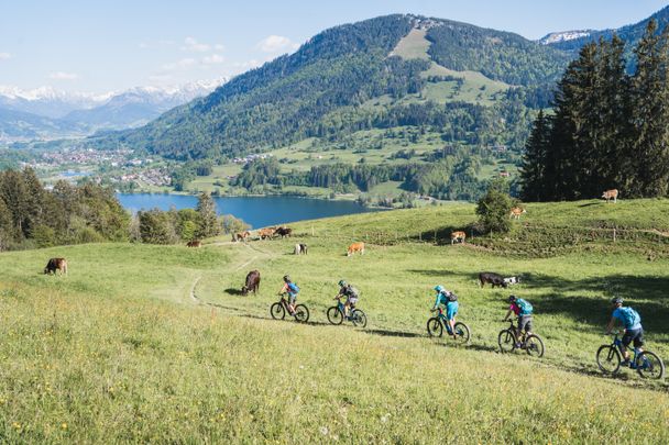 allgaeu-draussen-ebike-chris-gollhofer-25