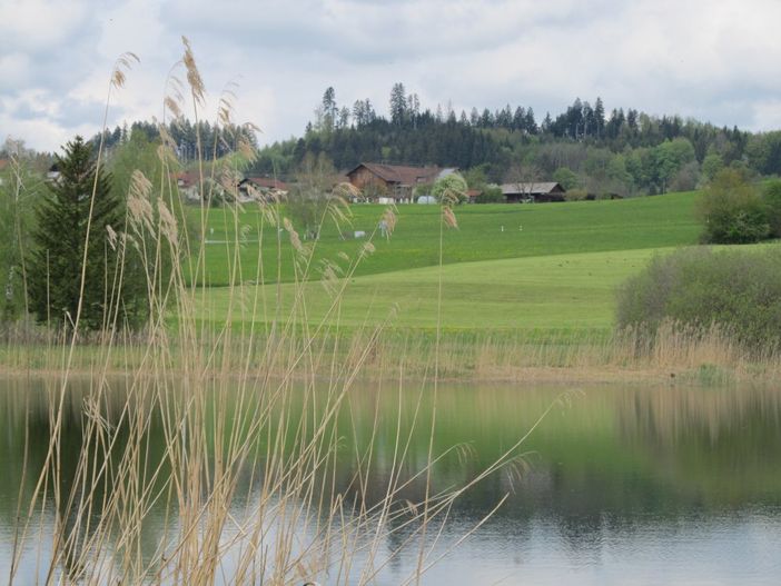 Blick vom See zum Biolandhof Johannes Hörburger