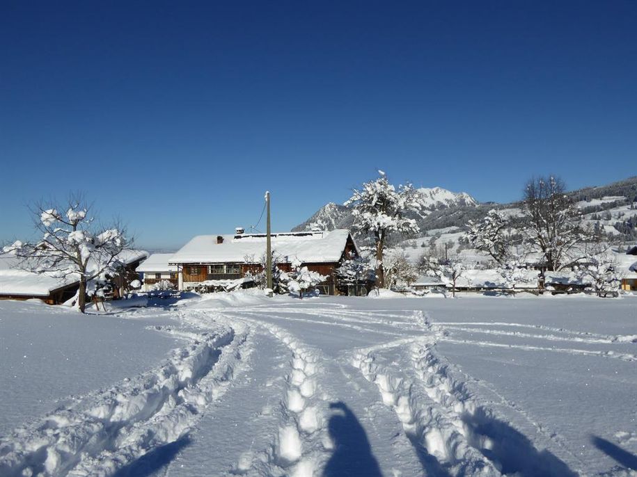 Schneeschuhwanderung