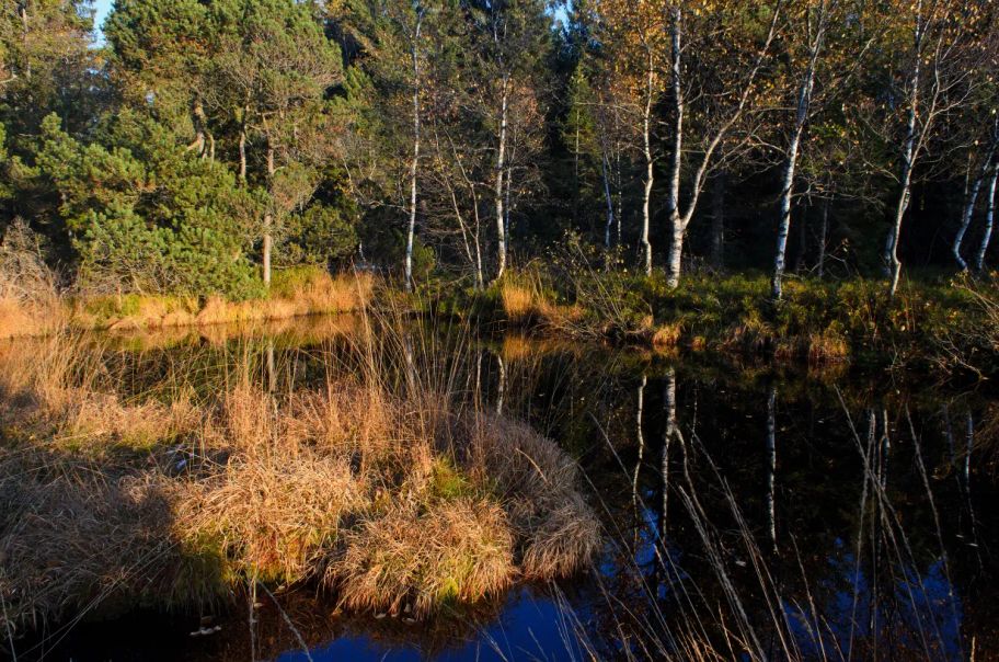 Der Panoramaweg bei Sulzberg - Grenzenlose Aussicht