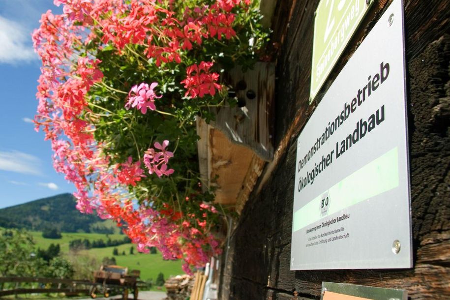 Sommerblüten