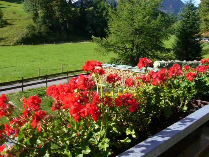 Aussicht vom Balkon