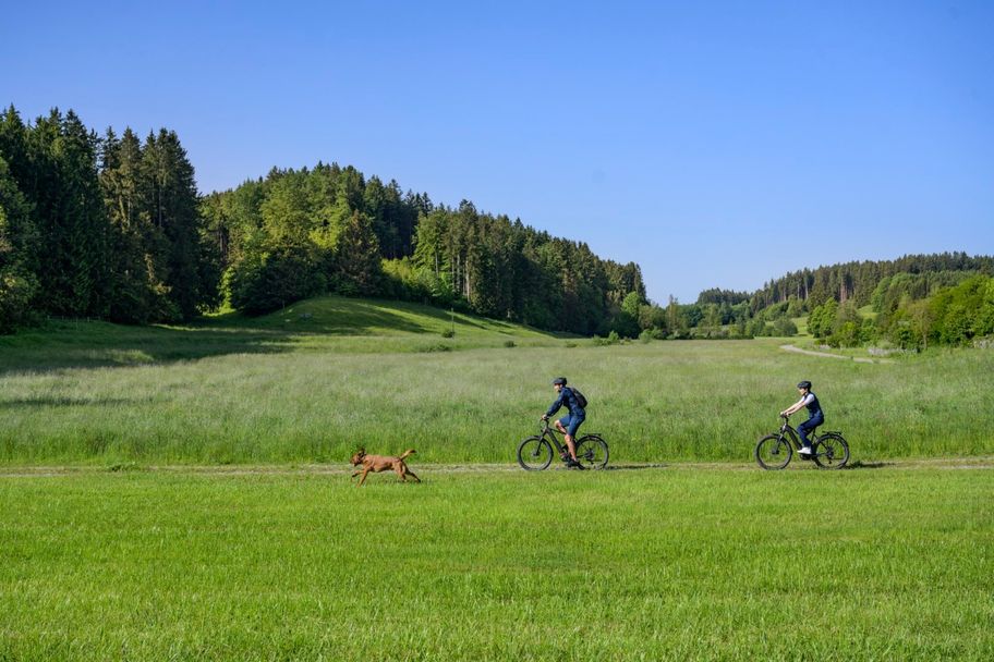 Radeln in himmlischer Natur bei Friesenried