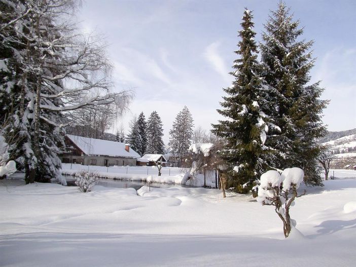 garten Winter