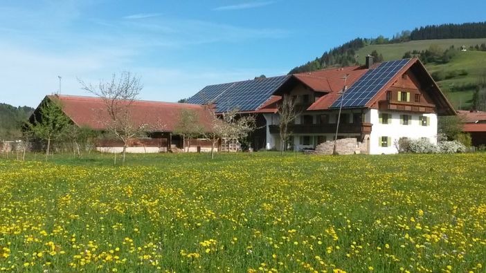 Hofbild Frühling