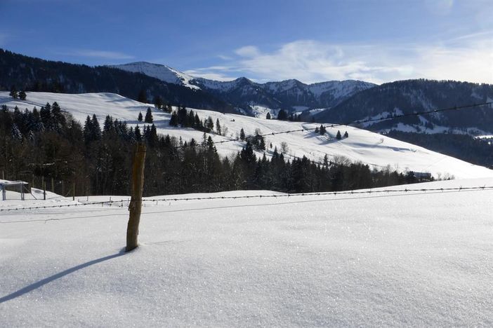 Winterlandschaft