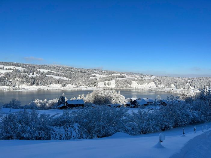 Verschneite Sicht auf den Großen Alpsee