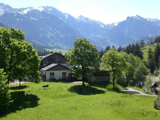 Ausblick