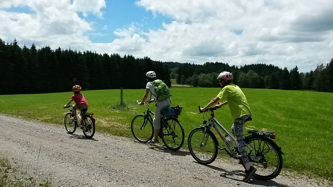 auf dem höchsten Punkt der Tour im Kempter Wald
