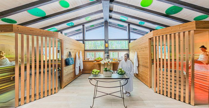 Sauna Neu