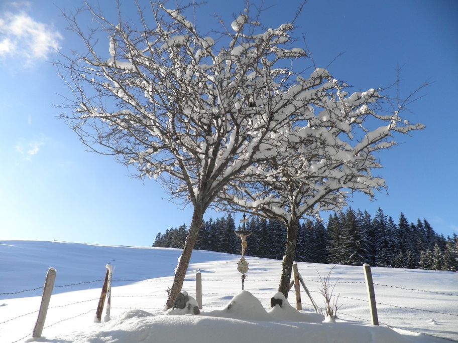 Wegkreuz bei der Haslacher Alp