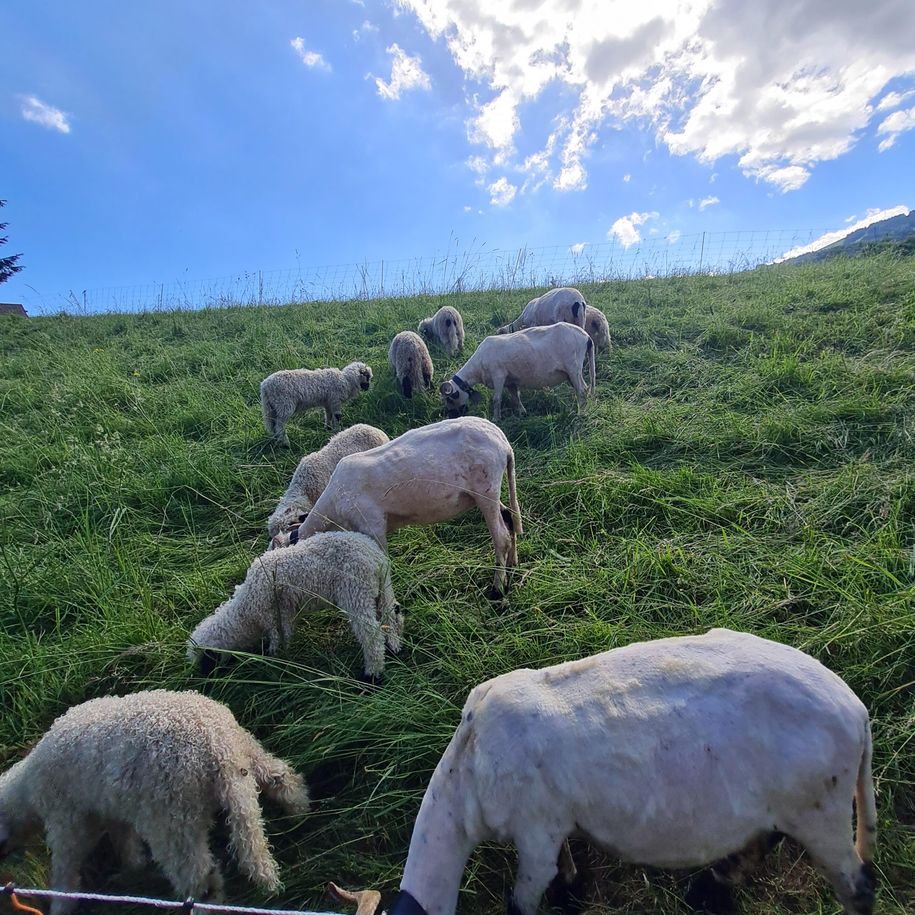 Ausblick vom Wohnzimmerfenster