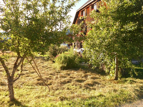 Holzhaus Besler