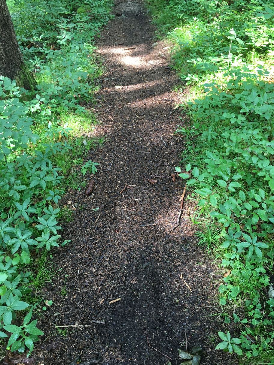 Hahnenkopfweg Richtung Zwei Seen Blick