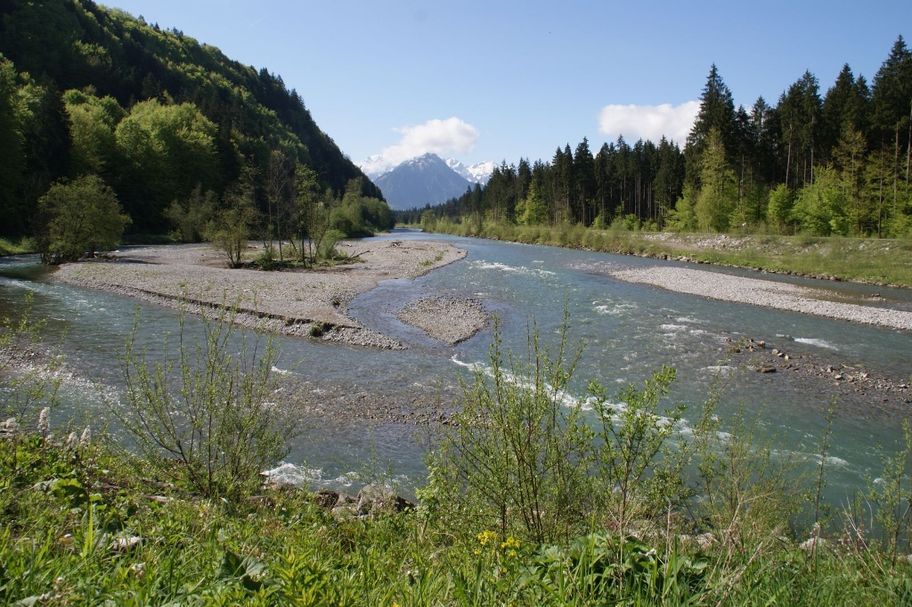 Die Iller bei Fischen im Allgäu, am südlichen Ende des Auwaldsees