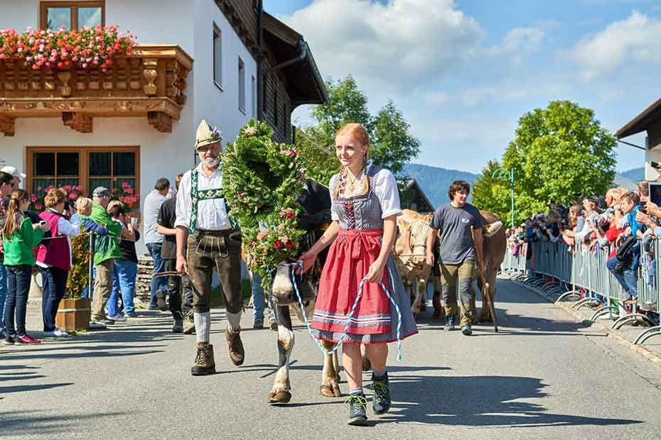 Almabtrieb im TAnnheimer Tal