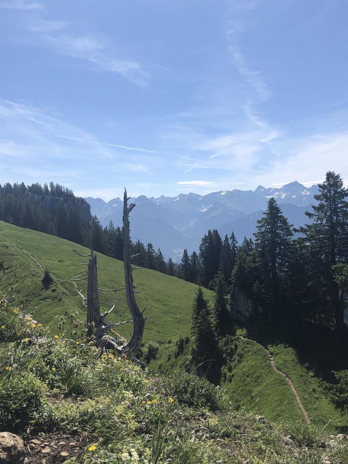 Wanderung in der Nähe