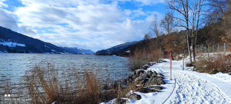 Alpsee im Winter