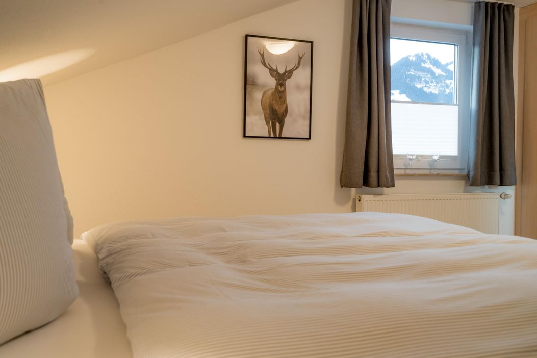 Alpentraum - Wohnung Alpentraum-009-3000