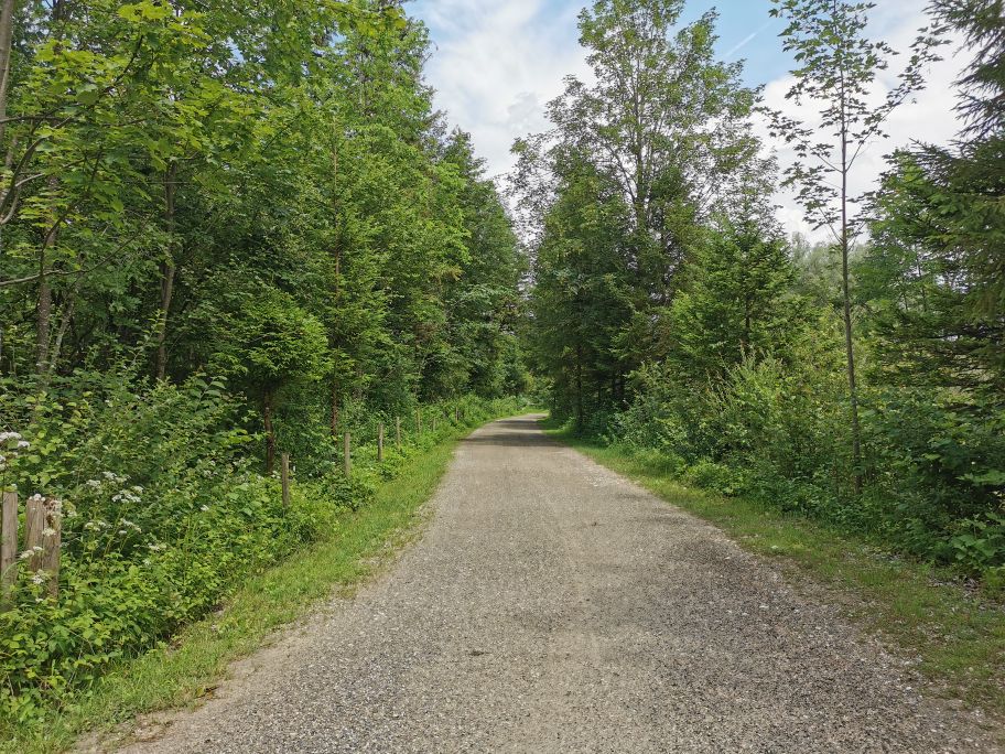 Weg am Bach entlang, in Richtung St. Coloman