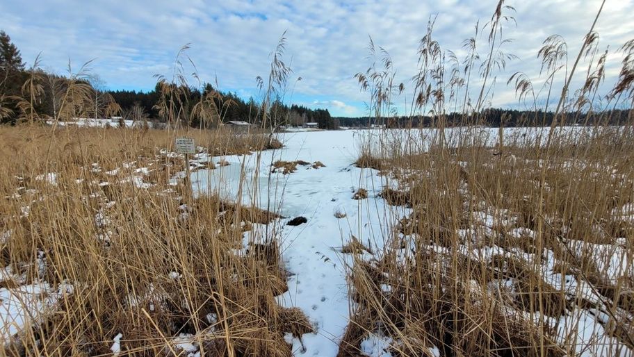 Wiesenweg zum Elbsee und zurück