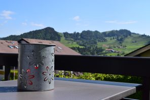 Hündleblick im Sommer