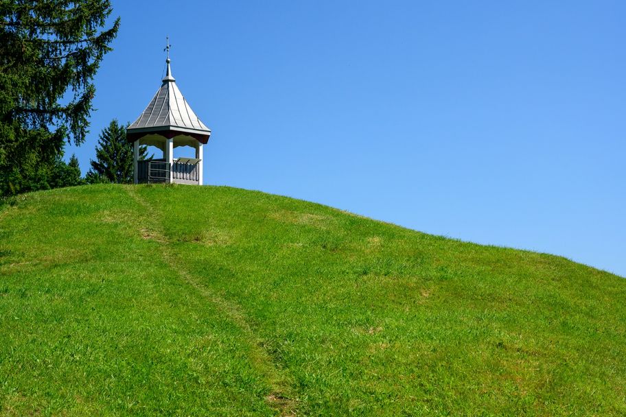 Auf den Falkenstein - alte Wälder und weite Blicke