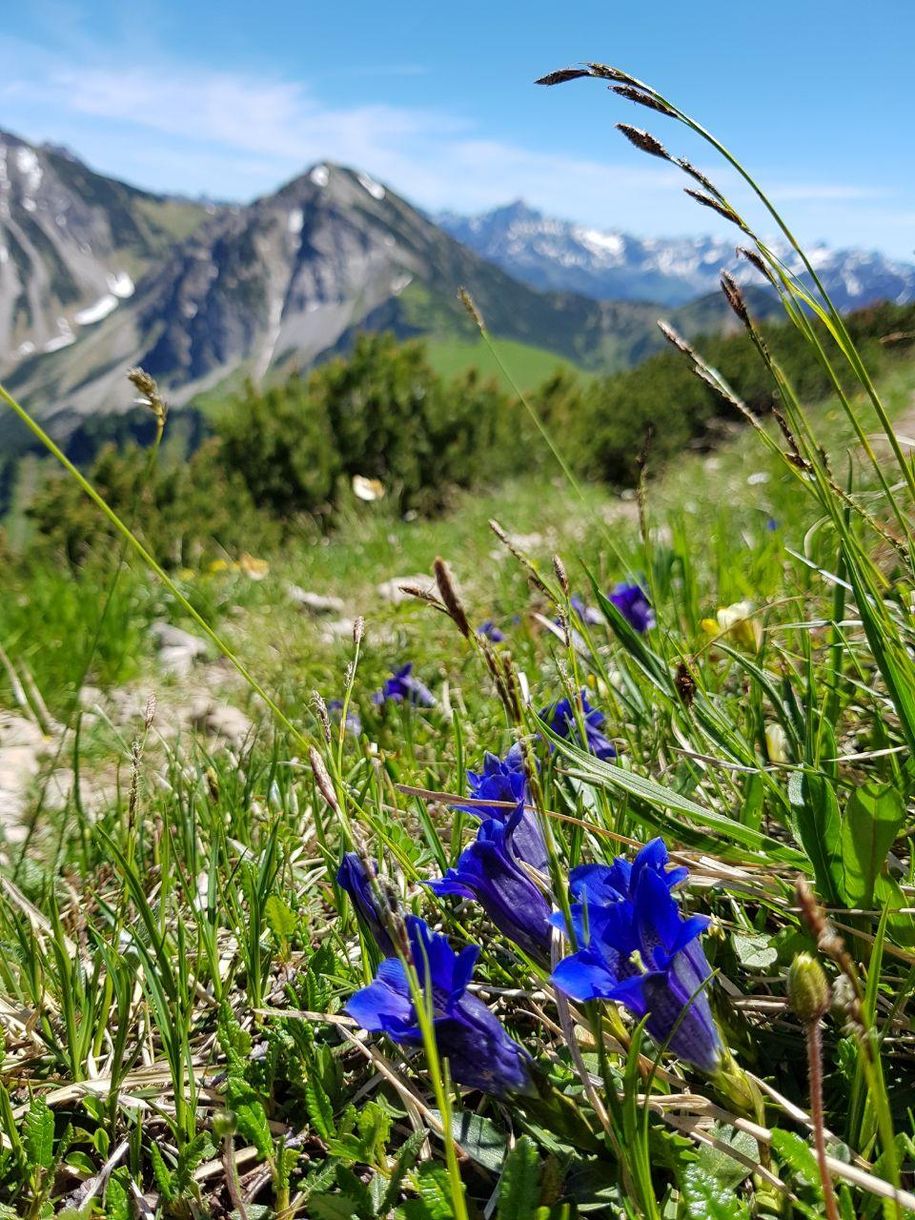 Ausblick vom Wannenjoch