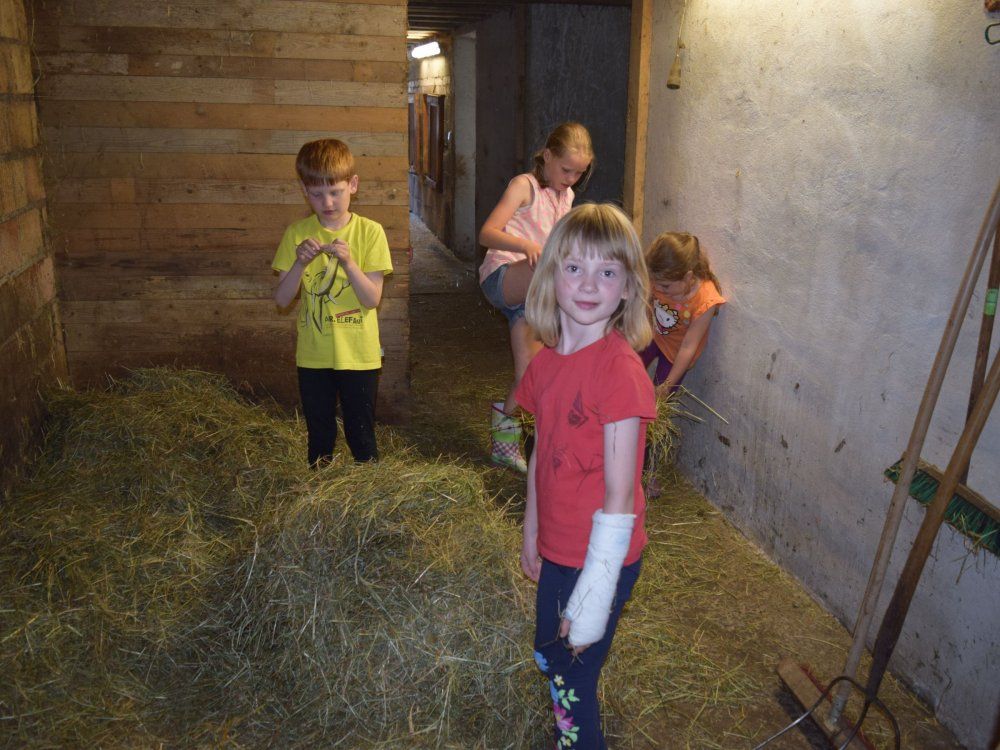 aufgehtsdieziegenfttern